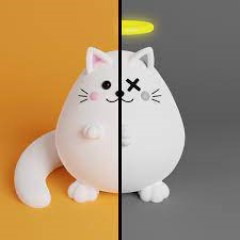 Dual Cat
